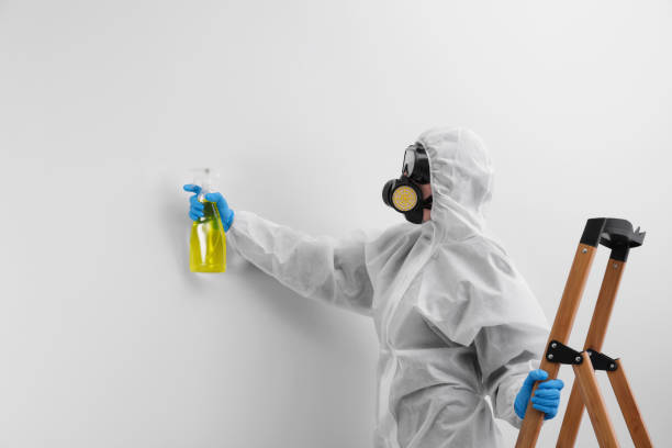 Mold Removal for HVAC Installations in Oklahoma, PA